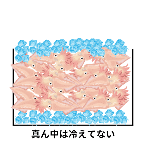 ぎゅうぎゅうにつめられたイカの真ん中のほうは冷えていない