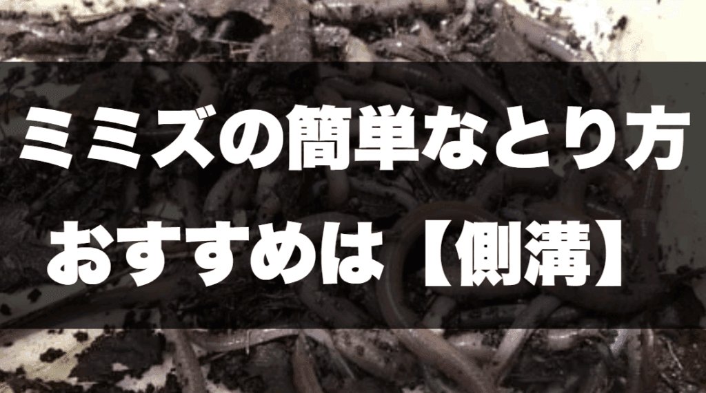 ミミズの簡単なとりかたは側溝
