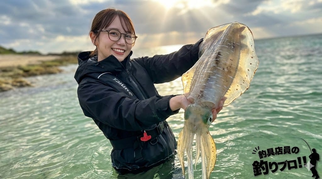 失敗しないエメラルダスリールのランクと選び方