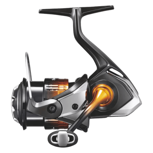 25ソアレ BBの外観