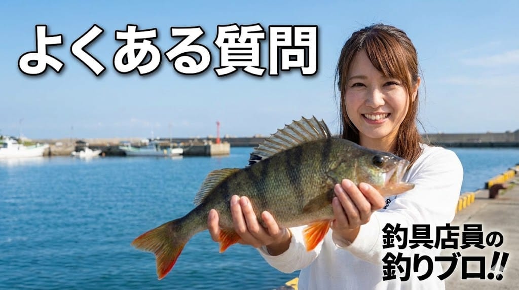 ソアレのアジングリールに関するよくある質問