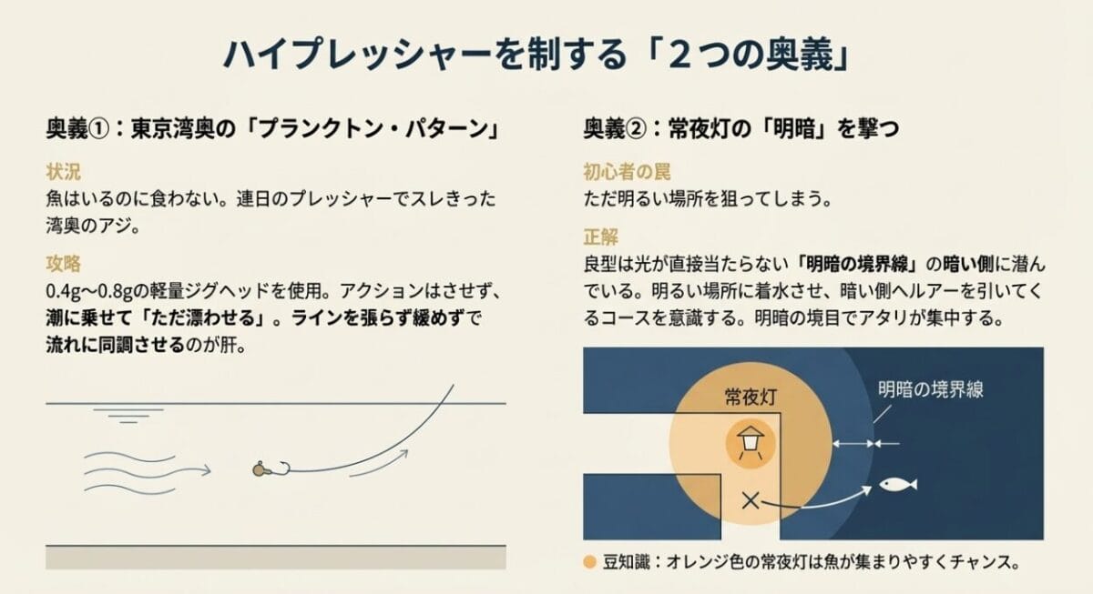 冬のアジングで釣果を出すための3つの場所選びの条件（水深・温排水・黒潮）