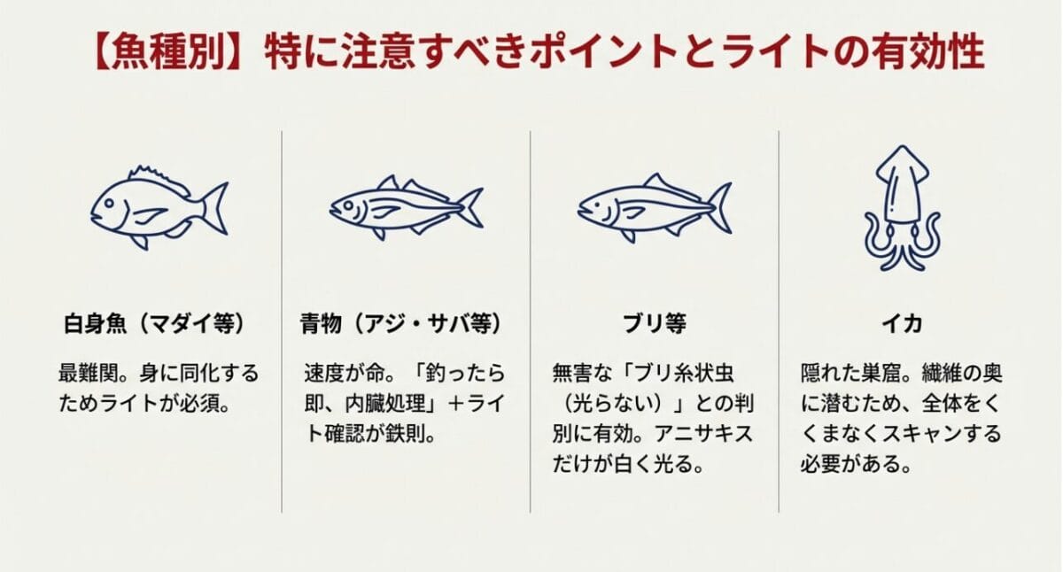 マダイ・アジ・サバ・イカなど魚種別のアニサキス発見ポイントとライトの有効性