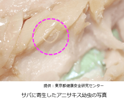 サバに寄生したアニサキスの写真